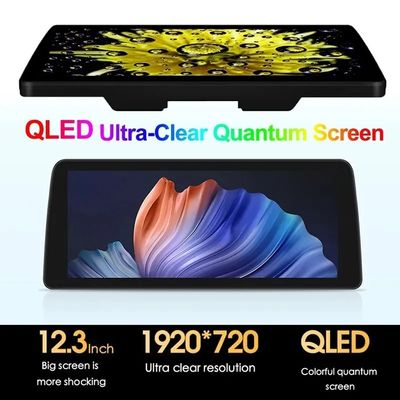 12.3''QLED pantalla 4G LTE Wifi DSP Carplay Android Auto 2Din Radio para automóviles para BMW / Benz / Audi Universal